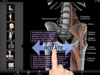 Image 0 for Muscle & Bone Anatomy 3D