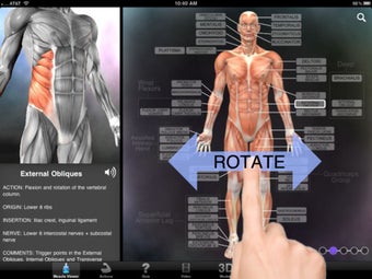 Image 2 for Muscle & Bone Anatomy 3D
