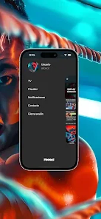 Imagen 0 para ProBoxing TV