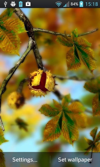 Image 0 for Autumn Leaves in HD Gyro …