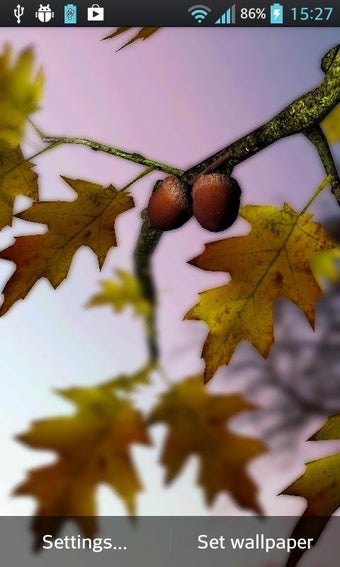 Image 0 for Autumn Leaves in HD Gyro …