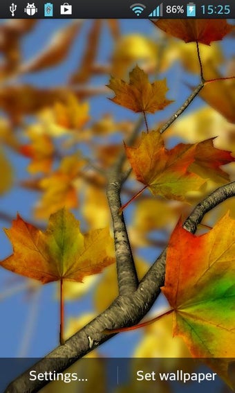 Image 2 for Autumn Leaves in HD Gyro …