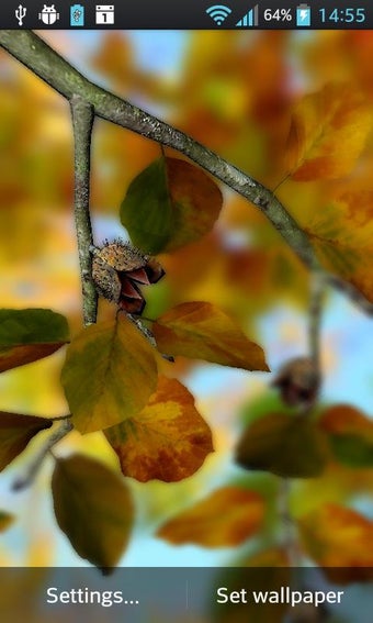 Image 3 for Autumn Leaves in HD Gyro …