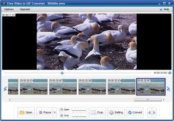 Imagen 4 para Free Video to GIF Convert…