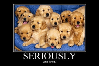 Image 4 for Demotivational Poster