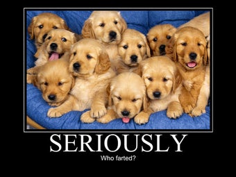 Image 5 for Demotivational Poster