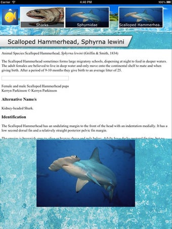 Image 3 for Fish ID