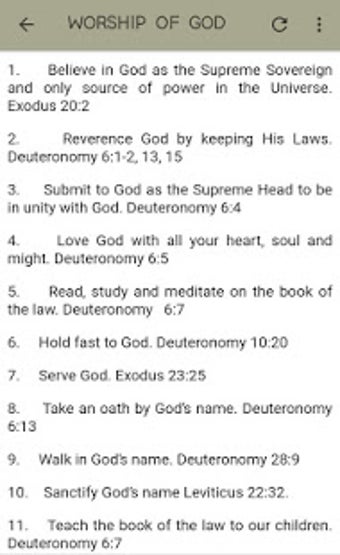 Imagen 2 para 613 Codified Laws of God