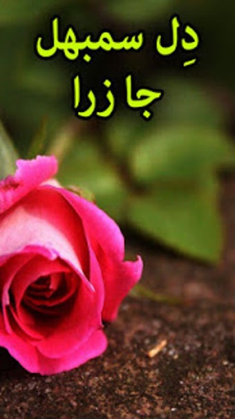 Image 1 for Dil Sambhal Ja Zara by Kh…
