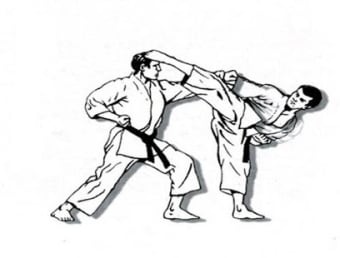 Image 0 for Karate Martial Arts Techn…