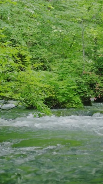 Image 0 for Waterfall Live Wallpapers