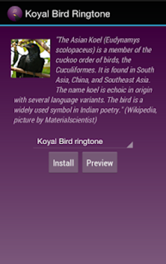 Image 0 for Koyal Bird Ringtone