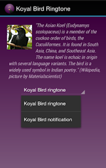 Image 1 for Koyal Bird Ringtone