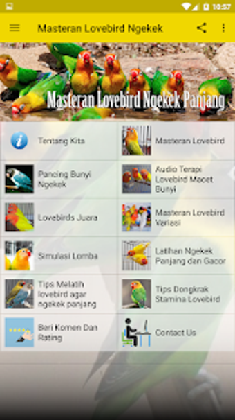 Image 1 for Masteran Lovebird Ngekek