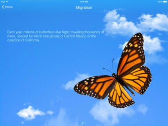 Image 0 for Monarch App