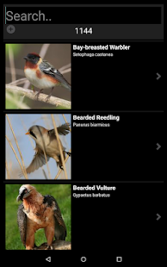 Image 0 for Ornithopedia Europe