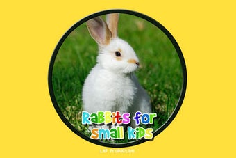 Image 0 for rabbits for small kids - …