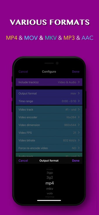 Image 1 for Video Converter: Format E…