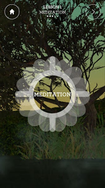 Image 2 for Wildflowers Mindfulness