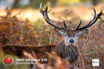 Image 3 for Shot on Watermark on Phot…