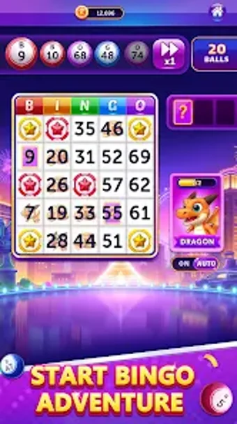 Image 0 for Bingo Enigma