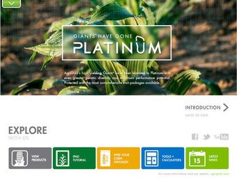 Image 0 for AgriGold We Know Corn