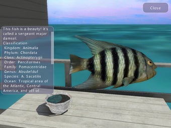 Image 3 for iocean Interactive