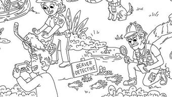Imagen 0 para 100 Cats Lost in Canada 2…