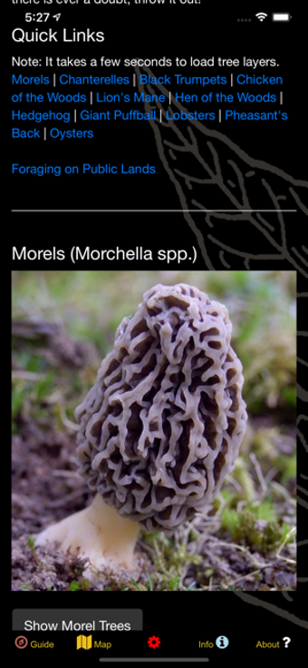 Image 1 for Minnesota Mushroom Forage…