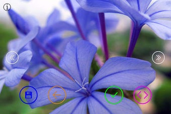 Image 0 for Colorful Flowers - Wallpa…