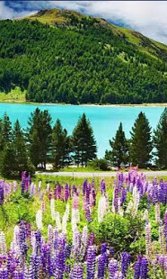 Image 1 for HD Nature Live Wallpaper