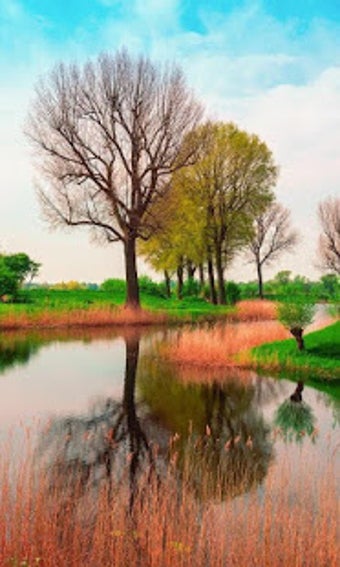 Image 0 for HD Nature Live Wallpaper