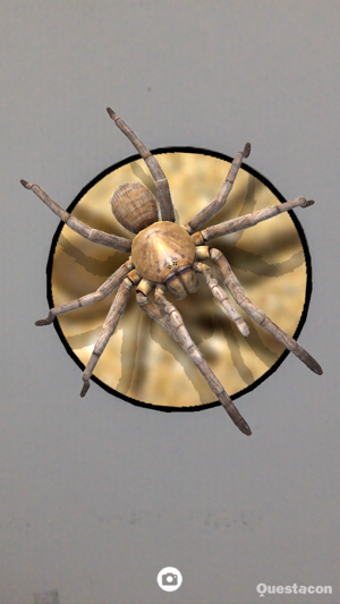 Image 1 for SPIDERS AR
