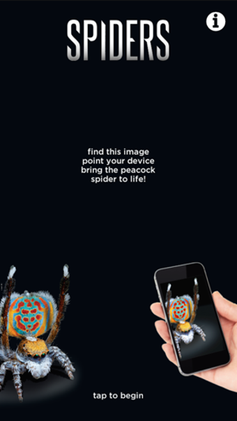 Image 3 for SPIDERS AR