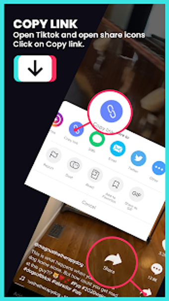 Image 0 for Download TikTok Video Wit…