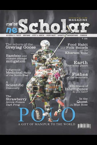 Image 0 for neScholar