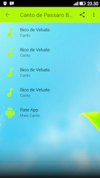 Imagen 2 para Cantos Passaro Bico de Ve…