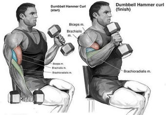 Image 2 for Gym Workout Exercises