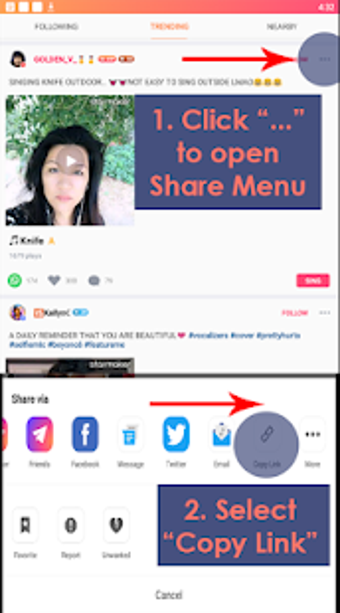 Imagen 3 para Sing Downloader for Starm…