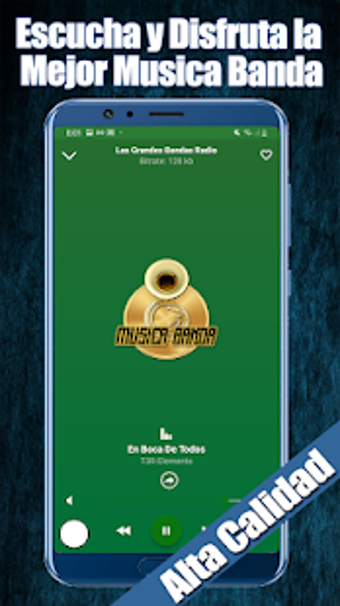 Imagen 1 para Musica Banda Mexicana