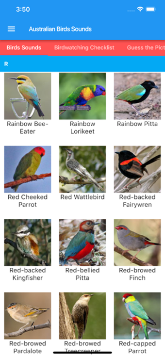 Image 2 for Australian Birds Sounds
