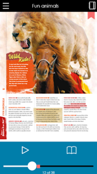 Imagen 2 para MackinVIA