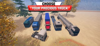 Image 2 for Cargo Delivery Truck Driv…