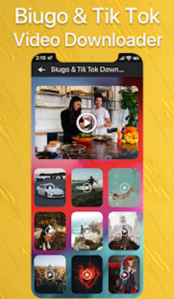 Image 1 for Video Downloader for Biug…