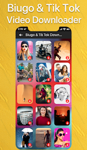 Image 3 for Video Downloader for Biug…