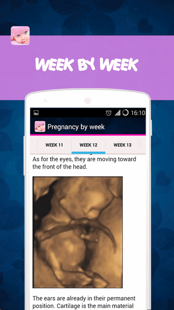 Imagen 2 para Pregnancy Tracker Â¦ Preg…
