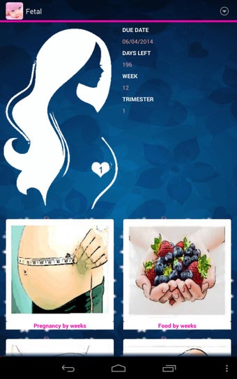 Imagen 0 para Pregnancy Tracker Â¦ Preg…