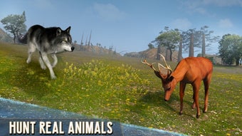 Image 0 for Scary Wolf Online