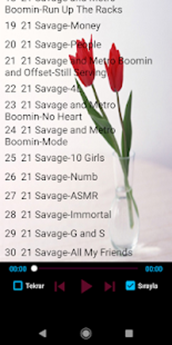 Imagen 1 para 21 Savage Popular Songs O…