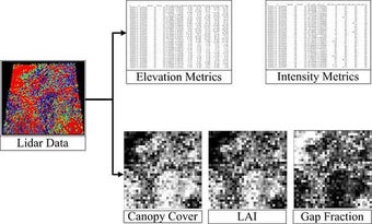 Image 2 for LiForest